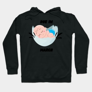 Due in March Baby Gift Hoodie